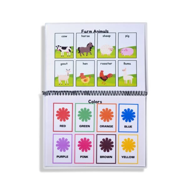 flash cards book